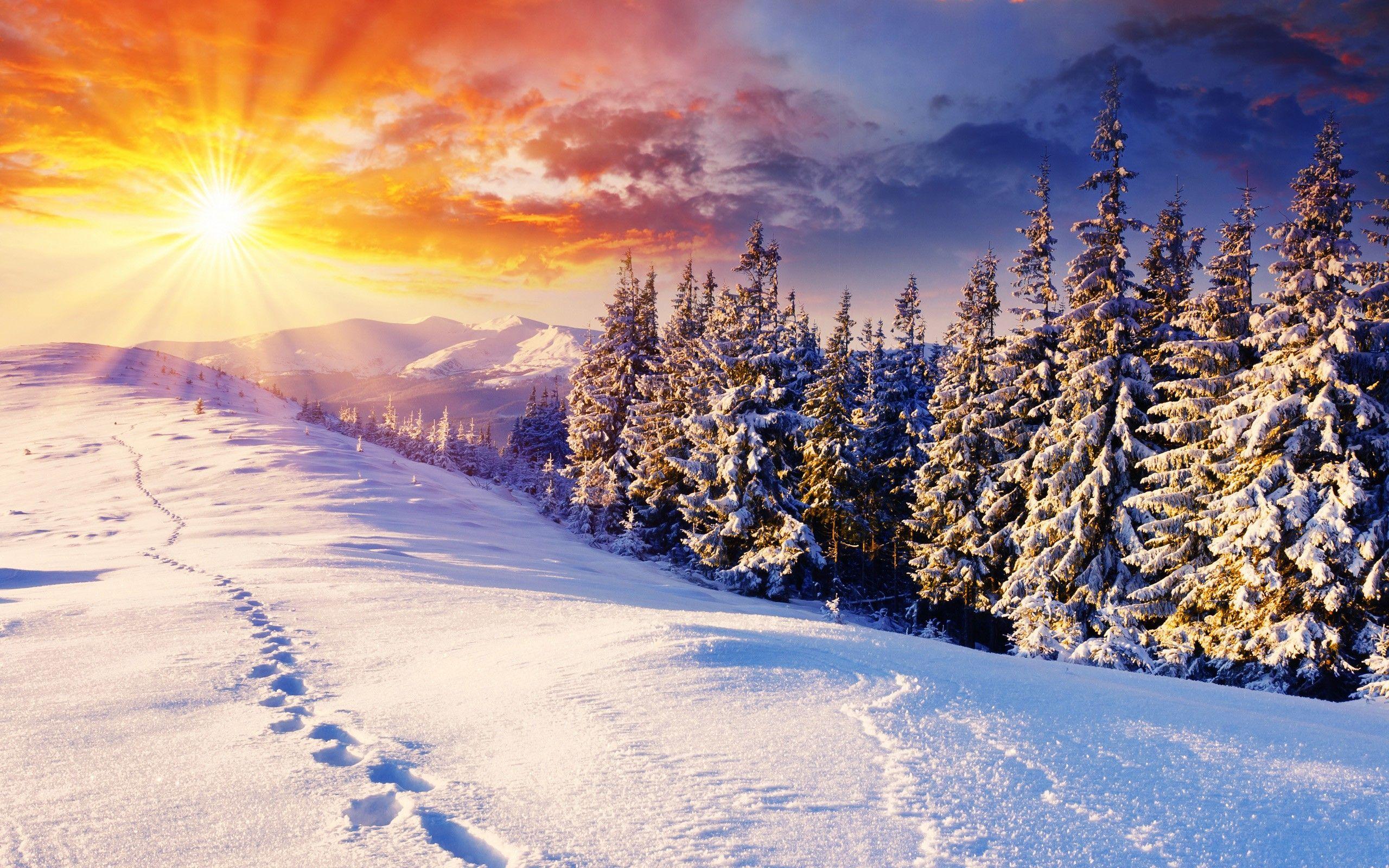 2560x1600 Sunset mountains clouds landscapes nature winter snow trees skyline hills sunlight footprint w. Winter wallpaper, Winter wallpaper hd, Winter wonderland wallpaper