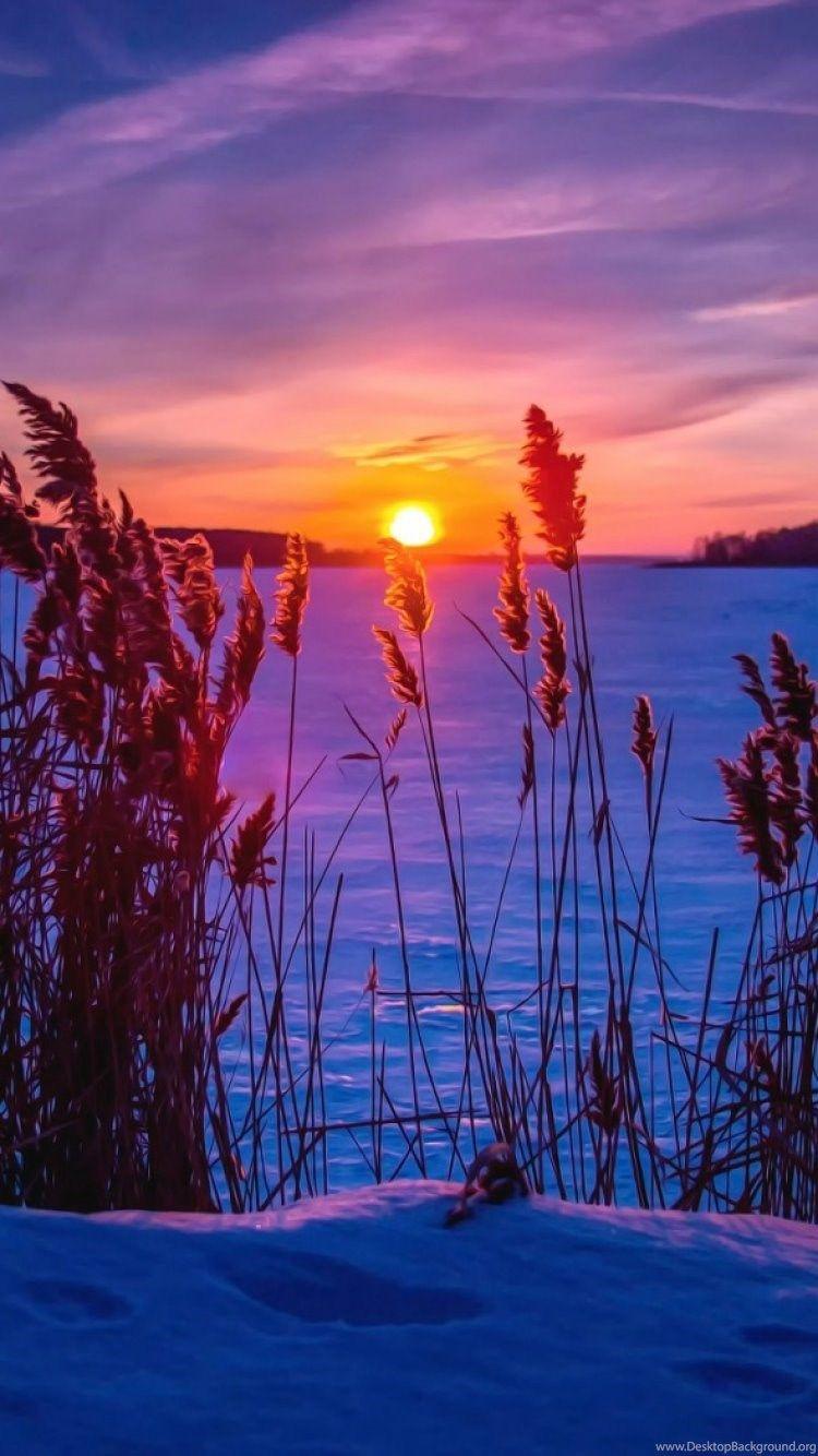 750x1334 Winter Sunset Wallpaper iPhone Wallpaper & Background Download