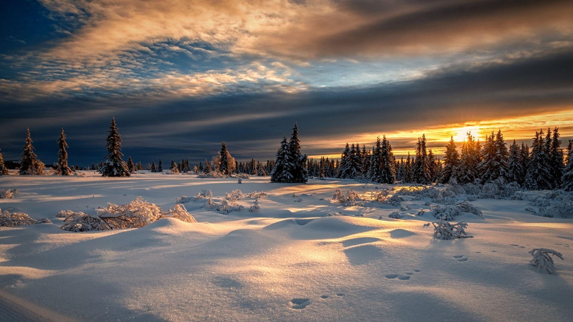1920x1080 Winter Dusk Wallpaper