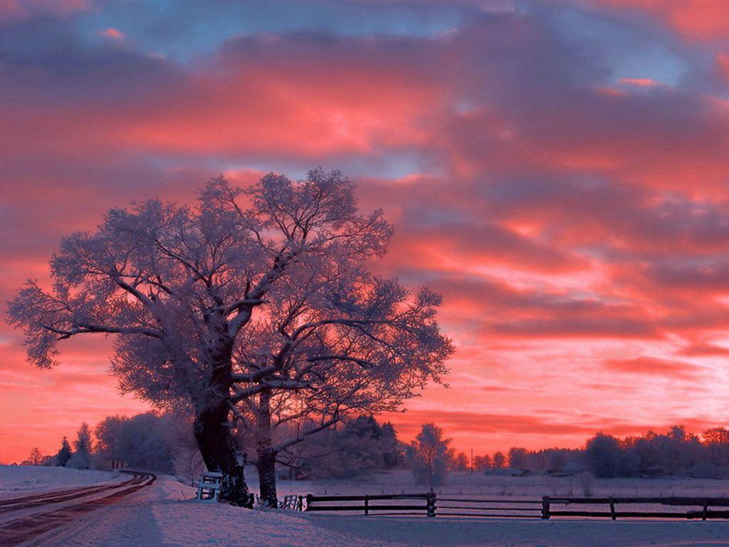 1024x768 Snowy Sunset Wallpaper