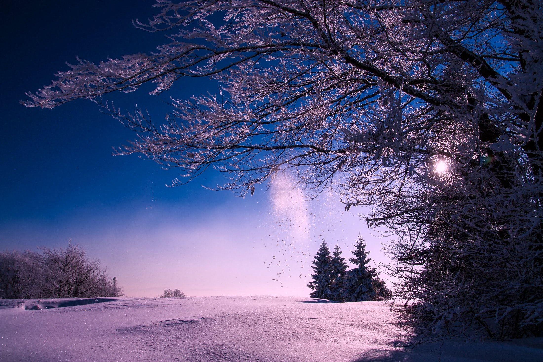 2200x1467 Winter Snow Sunset Dusk Sky Clouds Landscape 1024x768 Resolution HD 4k Wallpaper, Image, Background, Photo and Picture