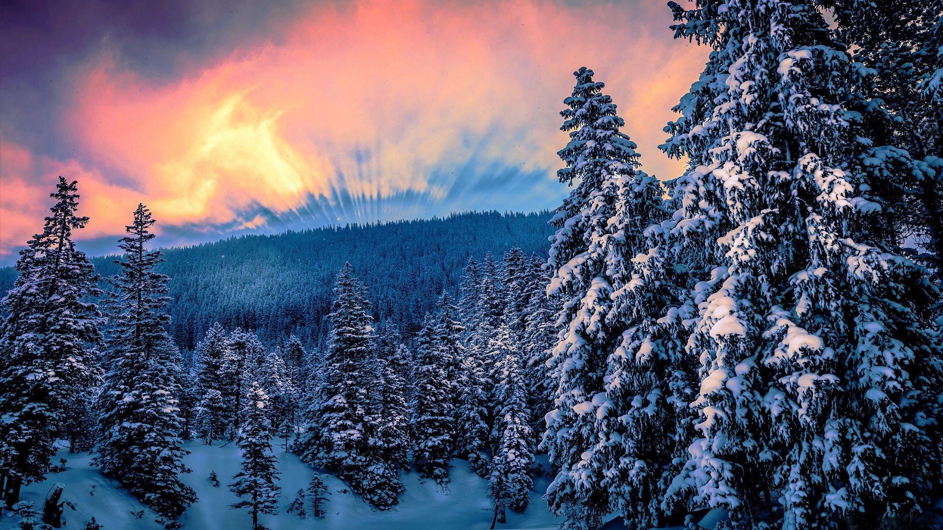 1920x1080 #snow, #sunset, #nature, #trees, #forest, #winter, wallpaper. Mocah.org HD Desktop Wallpaper