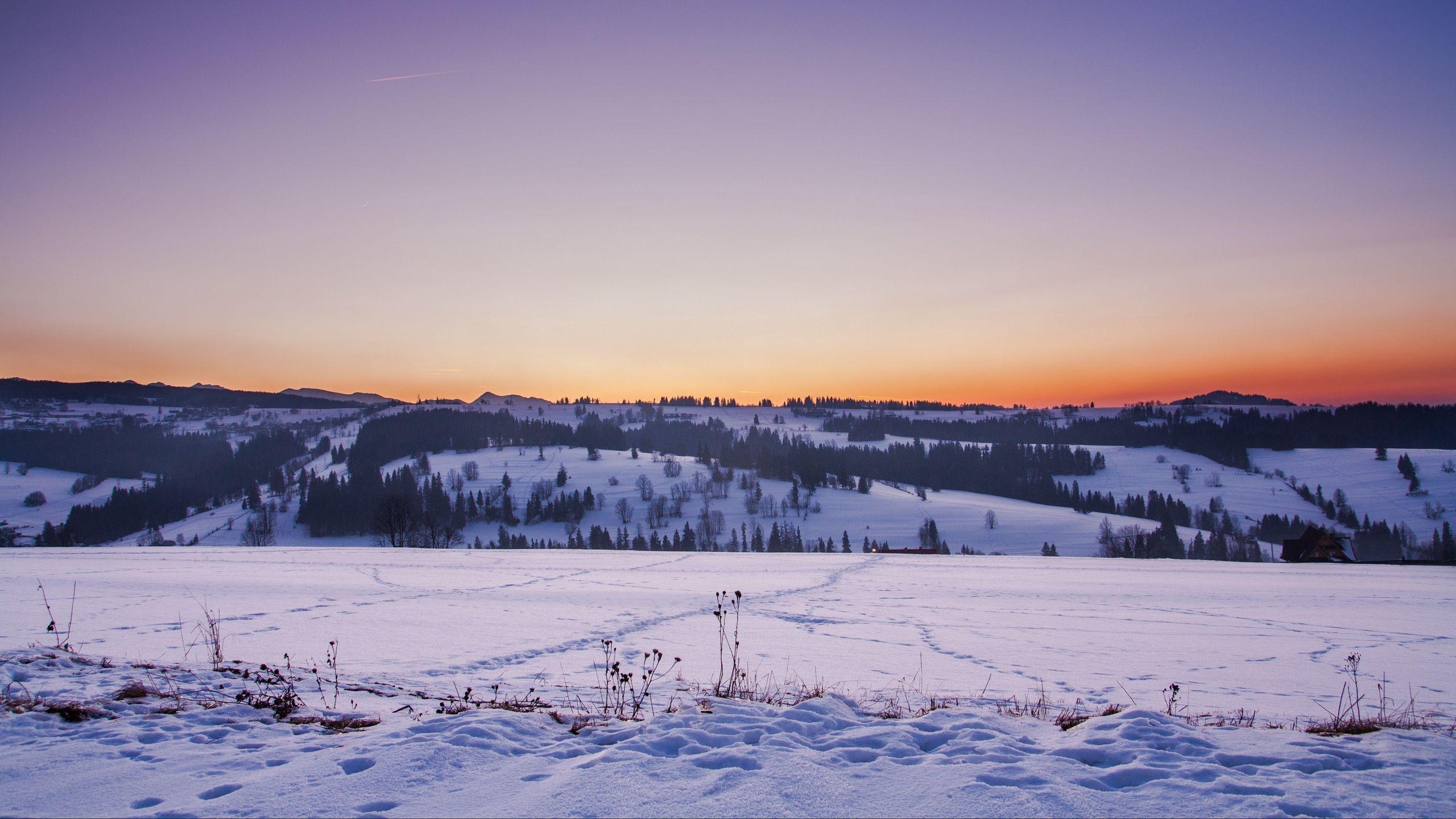2560x1440 Wallpaper Field, Snow, Winter, Sunset Winter Wallpaper iPhone Wallpaper & Background Download