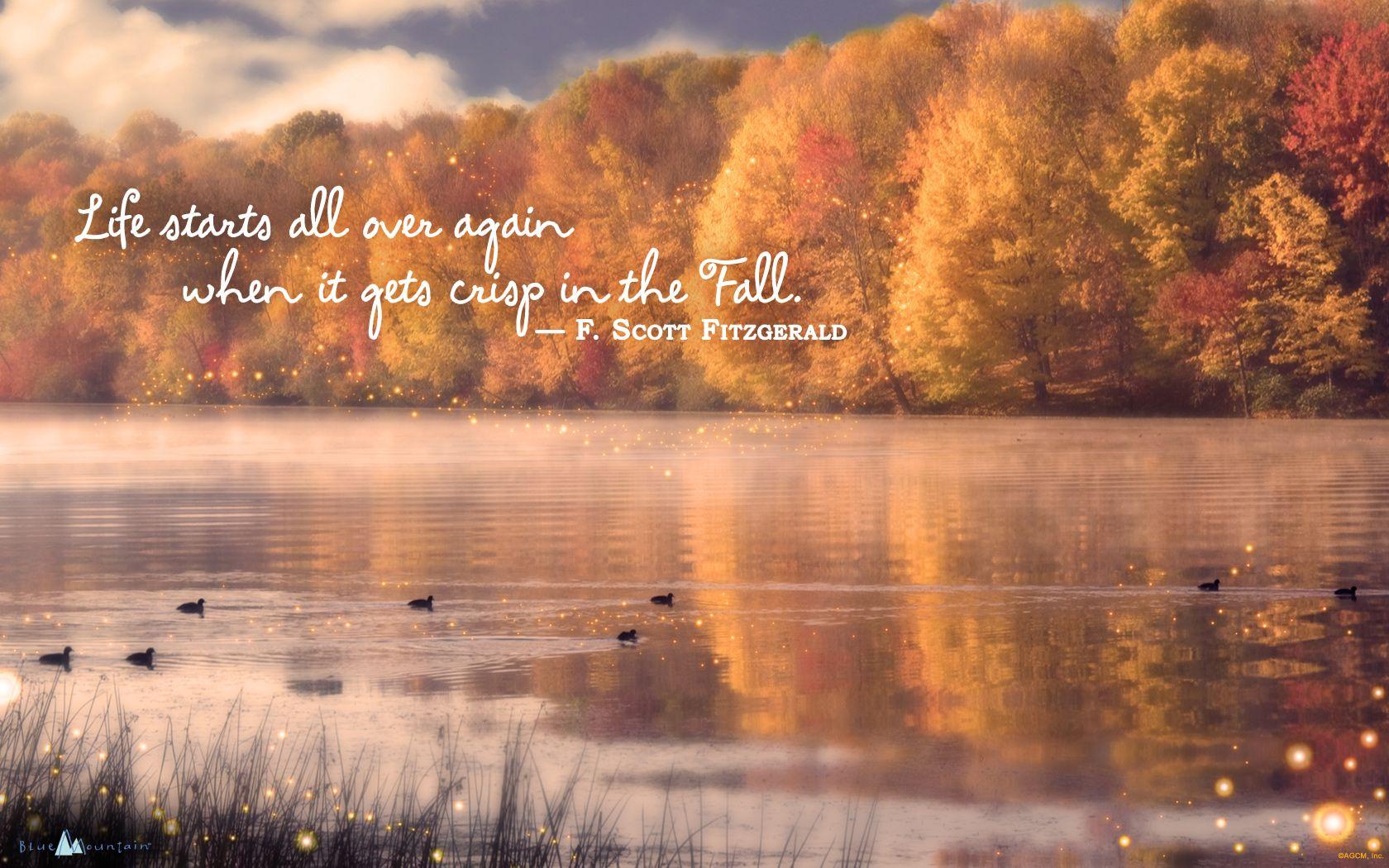 1680x1050 Anne of Green Gables Desktop Background. Anne Stokes Wallpaper, Anne Stokes Witch Wallpaper and Anne Hathaway High Quality Wallpaper