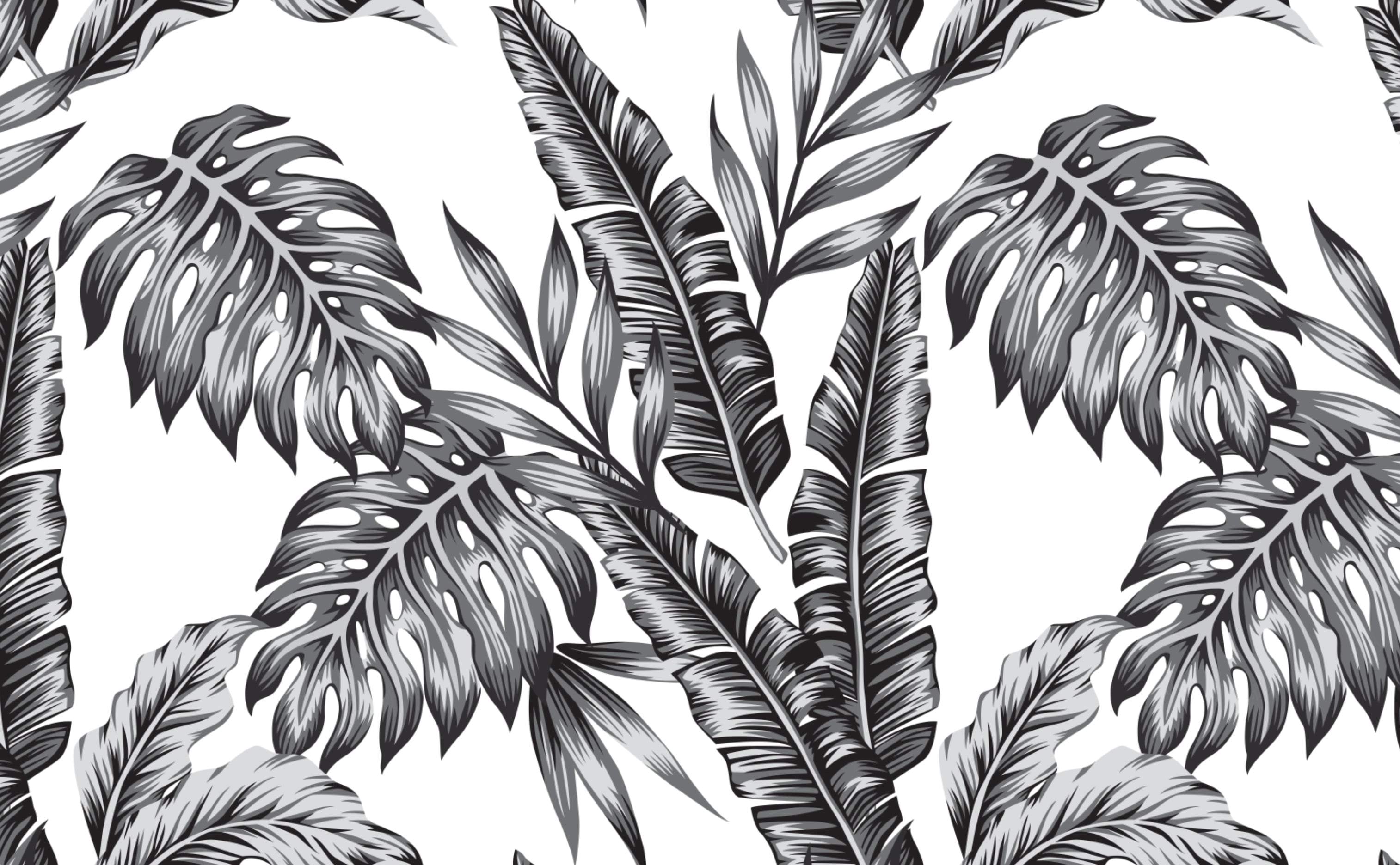 Buy Palm Leaf Wallpaper Black and White Tropical Wallpaper Online in India   Etsy