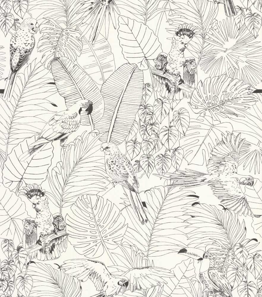 882x1000 Parrot Jungle by Albany / White. Jungle wallpaper, White wallpaper, Black and white wallpaper