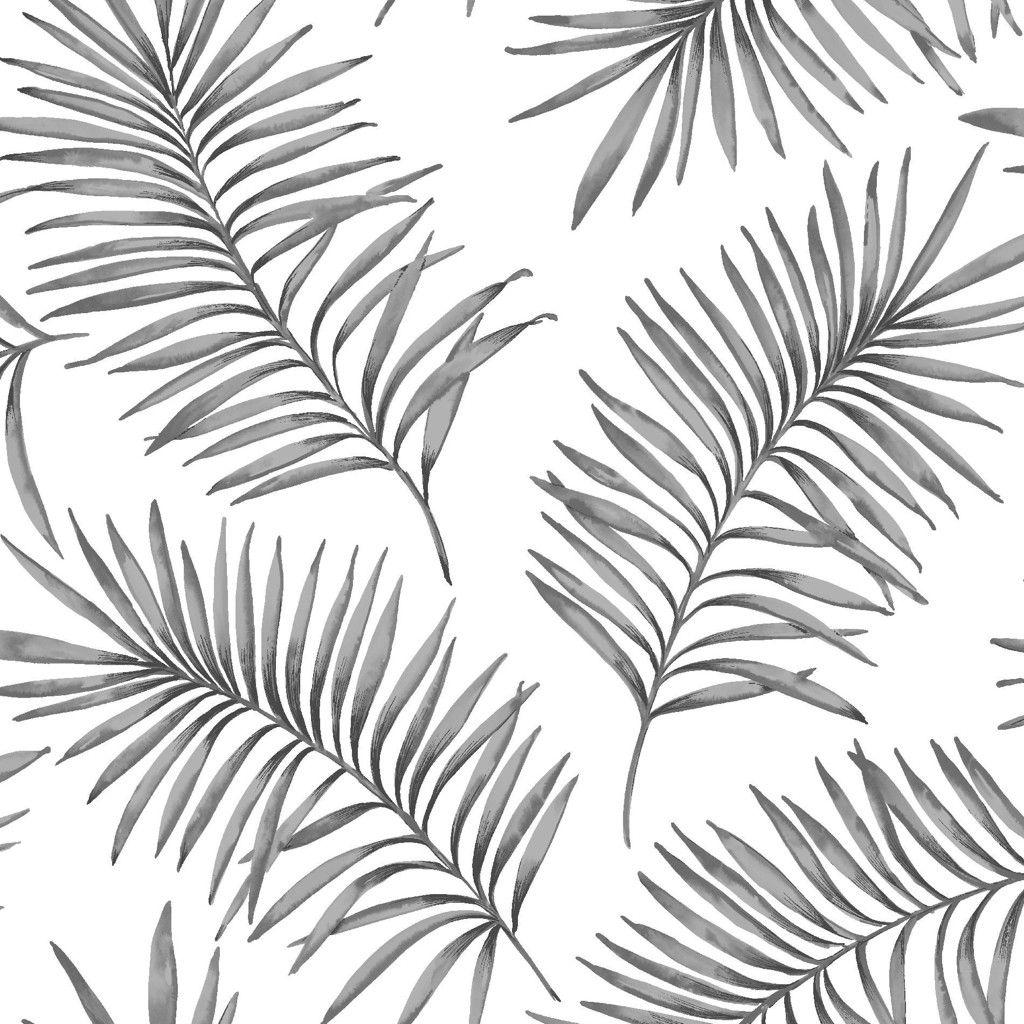 Black and White Tropical Wallpapers - Top Free Black and White Tropical