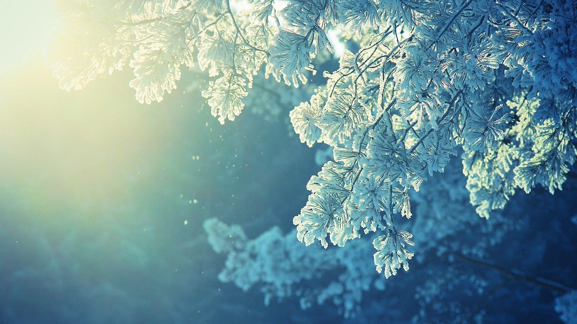 1920x1080 25++ Nature Peaceful Anime Wallpaper