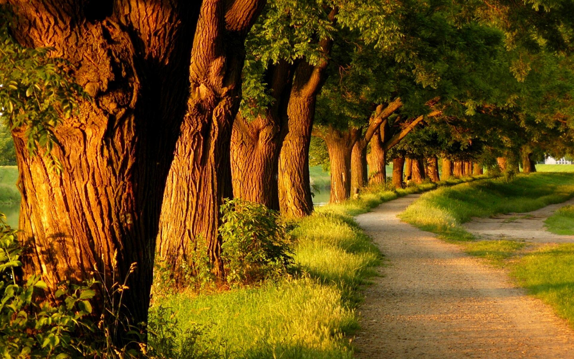 1920x1200 Calming Wallpaper for Desktop Background