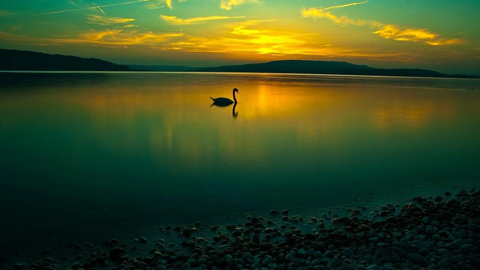 1920x1080 Free download Calming Background Download [1920x1080] for your Desktop, Mobile & Tablet. Explore Calming Wallpaper. Keep Calm Wallpaper