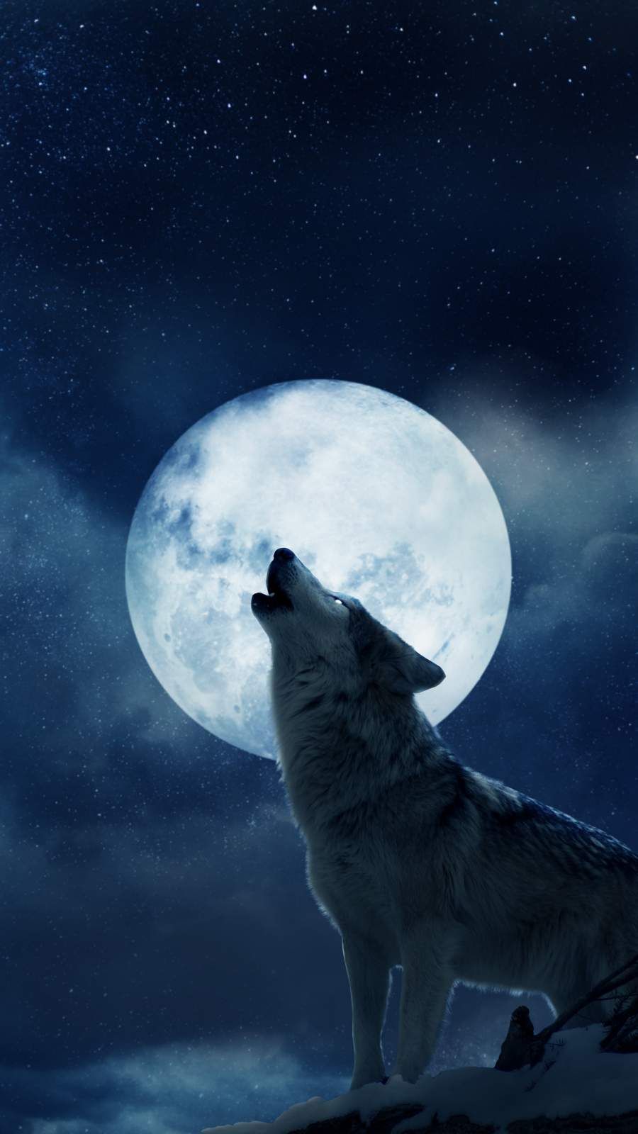 900x1600 Full Moon iPhone Wallpaper. iPhone wallpaper moon, iPhone wallpaper, iPhone wallpaper image