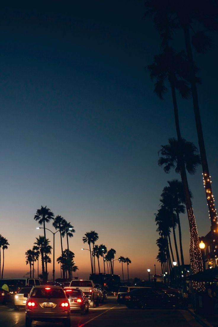 736x1104 Free download 30 Venice Beach Sunset iPhone Wallpaper Download [736x1104] for your Desktop, Mobile & Tablet. Explore Venice Beach Pier Wallpaper. Venice Beach Pier Wallpaper, Venice Beach