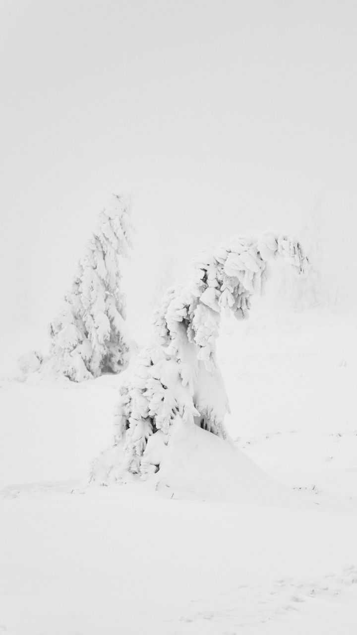 720x1280 Winter White Snow Aesthetic 4K UHD Wallpaper for UltraHD Desktop and TV : Widescreen and UltraWide Display : Dual Monitor : Smartphone and Tablet Devices