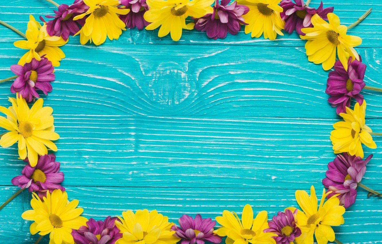 1332x850 Wallpaper flowers, background, blue, Blue, yellow, wood, flowers, purple image for desktop, section цветы