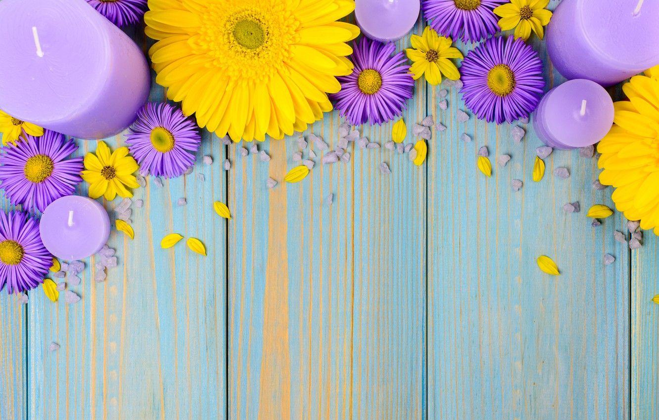 1332x850 Wallpaper flowers, background, blue, chamomile, candles, gerbera, yellow, wood, blue, flowers, garden, purple, gerbera image for desktop, section цветы