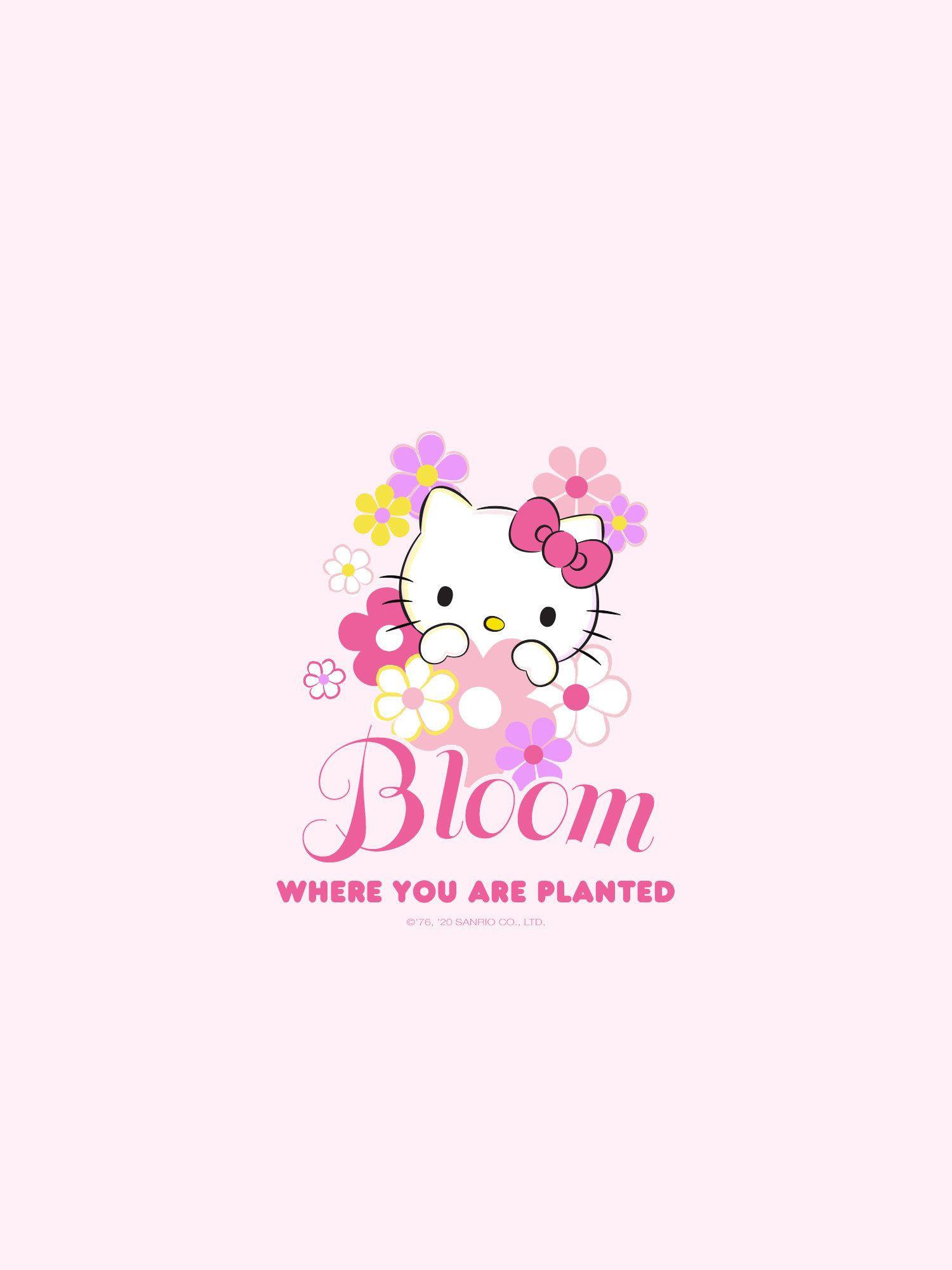 1500x2000 Hello Kitty