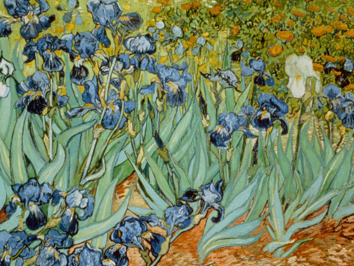 Van Gogh Desktop Wallpapers - Top Free Van Gogh Desktop Backgrounds ...