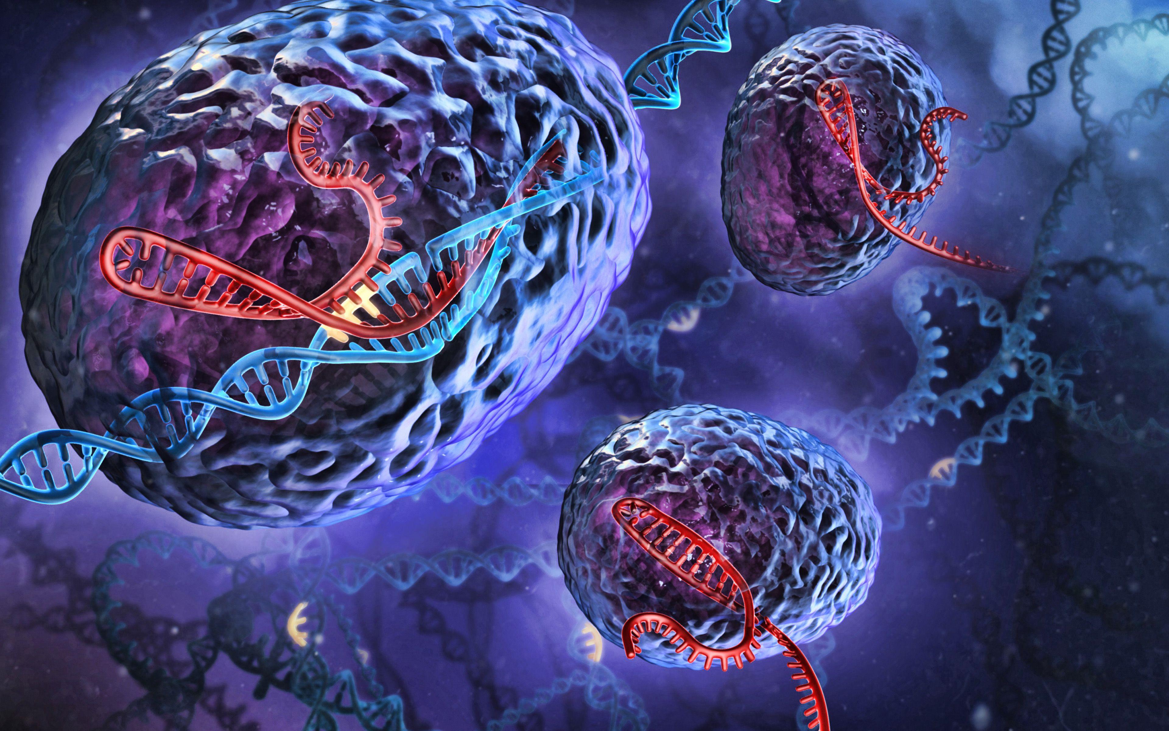 3840x2400 Molecules 3D Art Wallpaper
