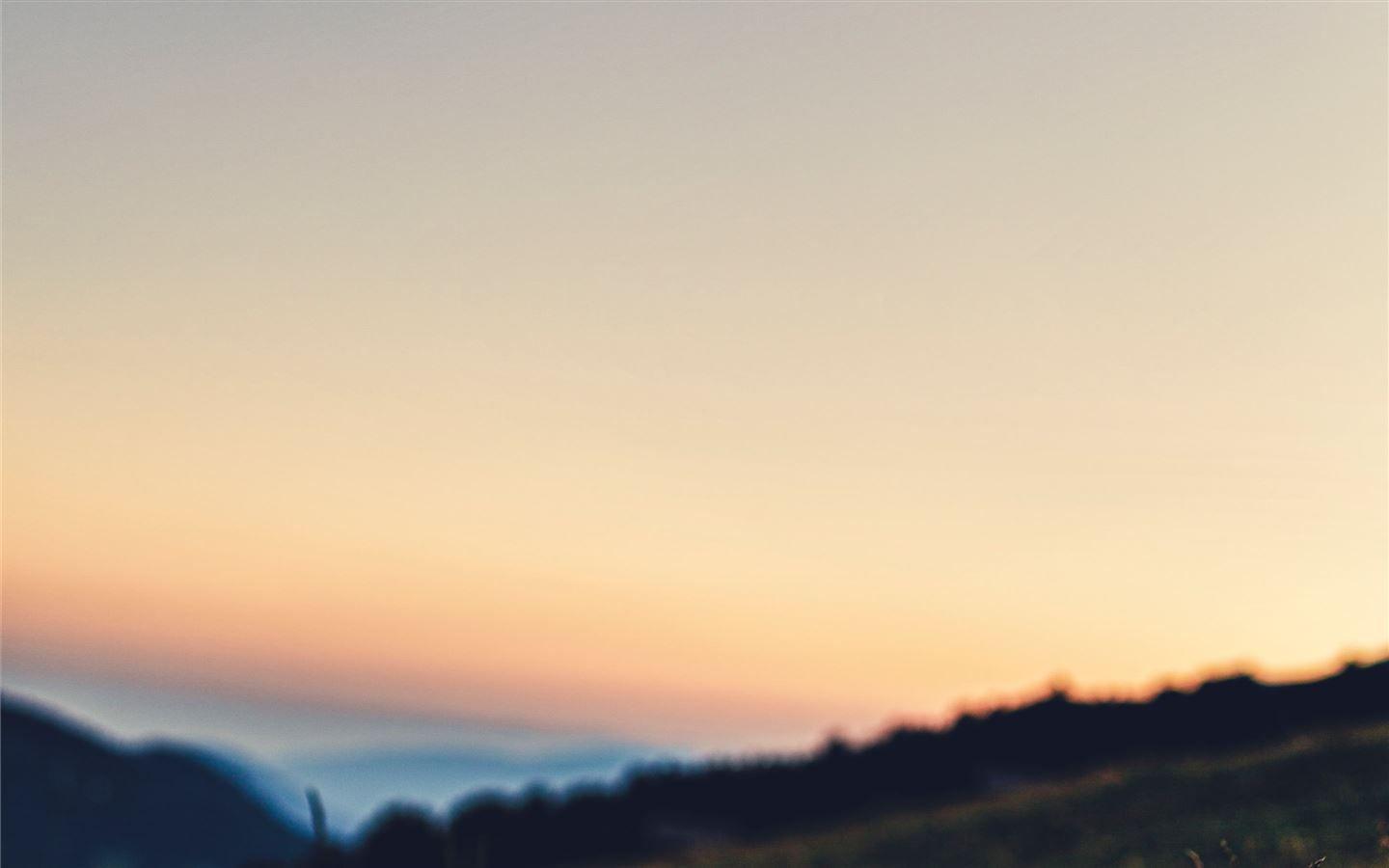 1440x900 Honeymoon in the meadows. MacBook Air Wallpaper Download