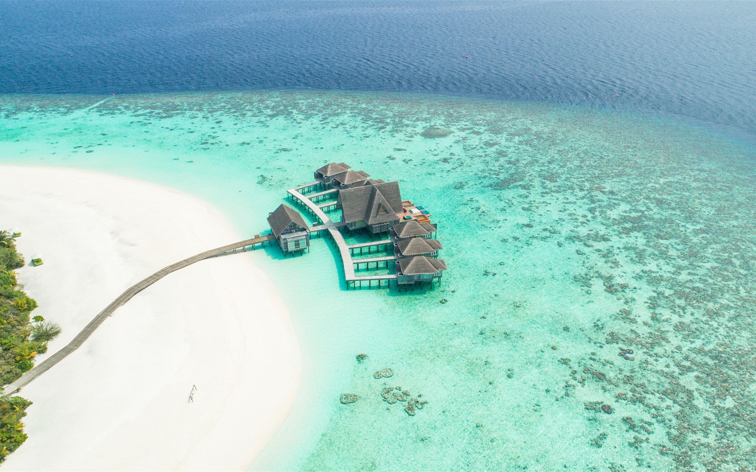 2560x1600 Best honeymoon Mac Wallpaper Free HD Download