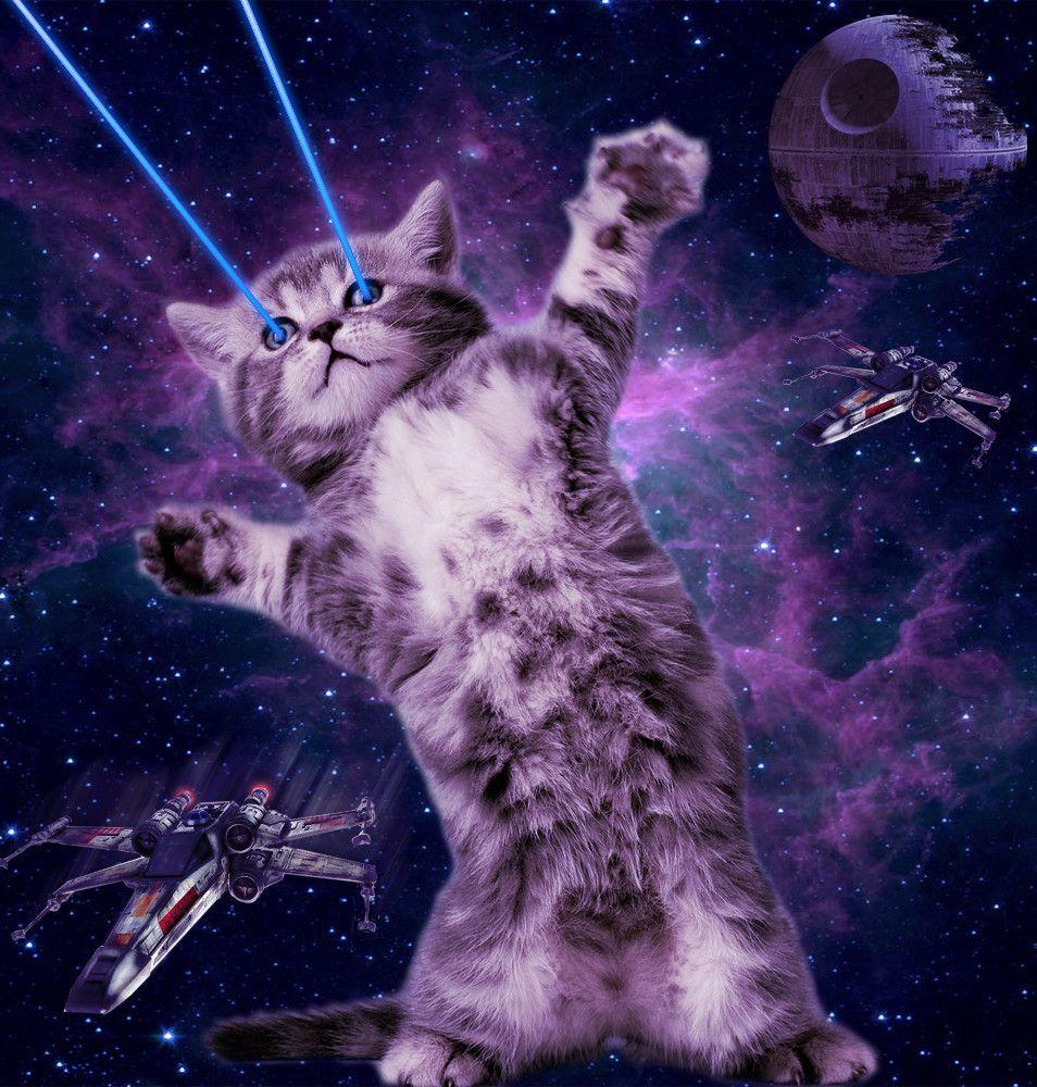 Cats in Space Wallpaper