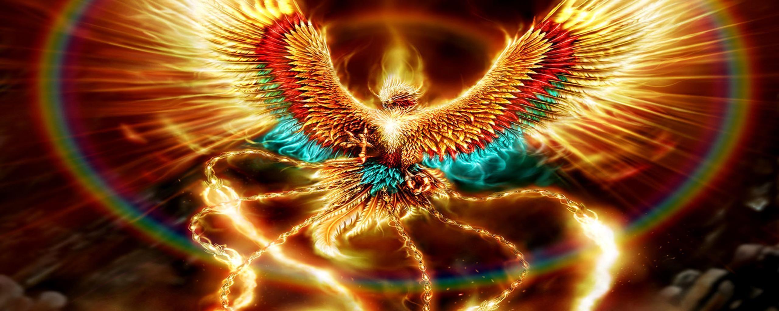 Dragon Phoenix Wallpapers Top Free Dragon Phoenix Backgrounds
