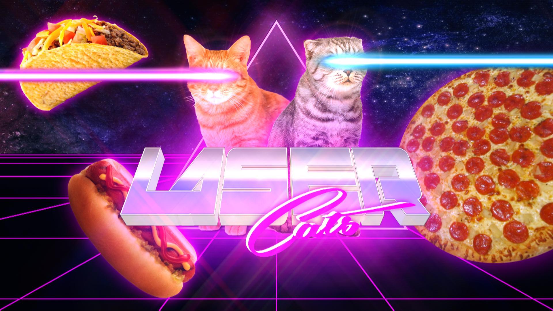 1920x1080 Laser Cats HD Wallpaperx1080