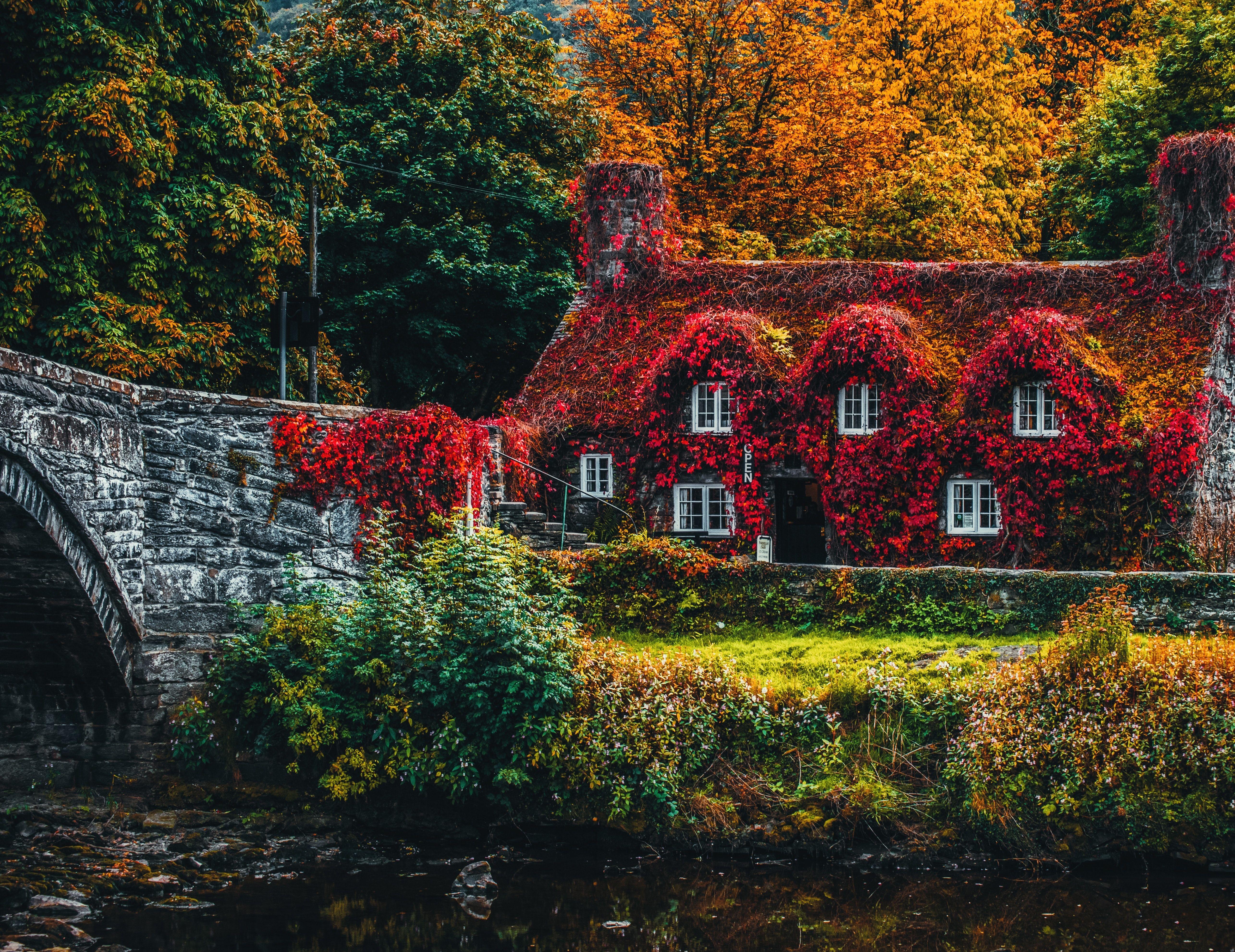 5142x3966 Download wallpaper 5142x3966 house, autumn, river, foliage, autumn colors HD background