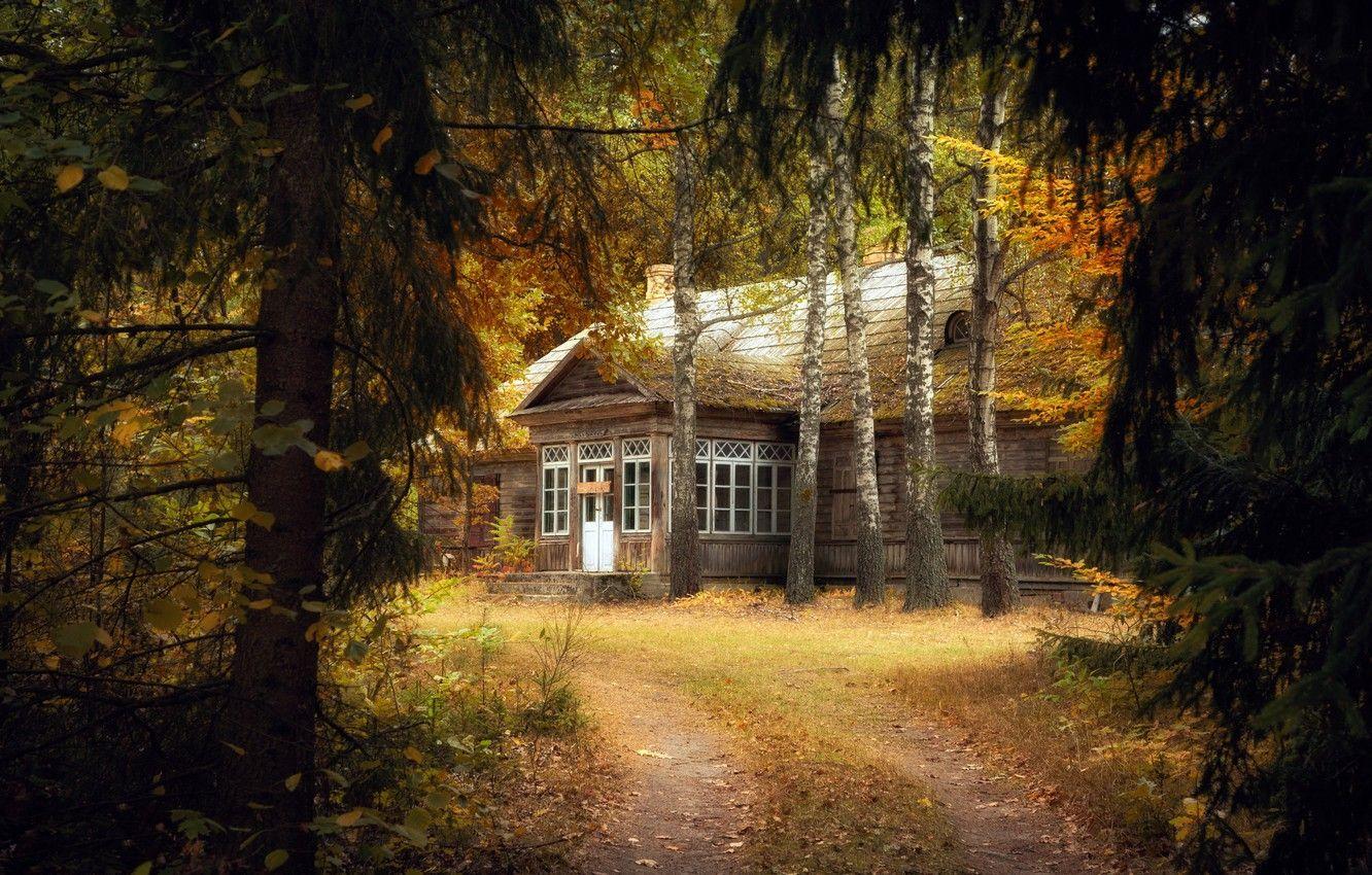 1332x850 Photo Wallpaper Autumn, Forest, Nature, House Forest House Night