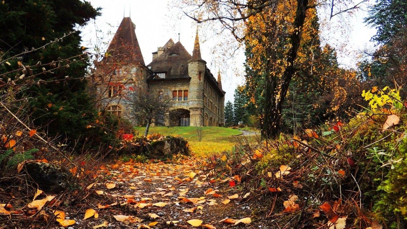 Forest castle. Заброшенный замок Дендрарий Венгрия. Ирландия усадьба Лейкслип-Касл. Белогорка усадьба Елисеевых. Осень замок Англия.