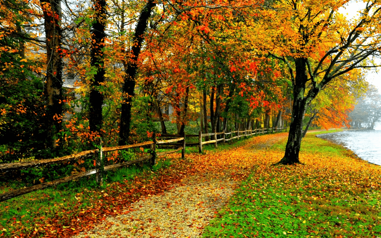 1280x800 House Fence Side Walk Autumn wallpaper. House Fence Side Walk Autumn