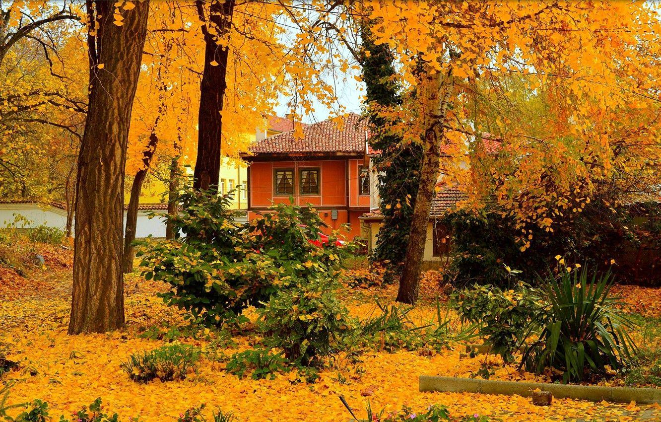 1332x850 Wallpaper Autumn, Trees, House, House, Fall, Foliage, Autumn, Trees, Falling leaves, Leaves image for desktop, section природа