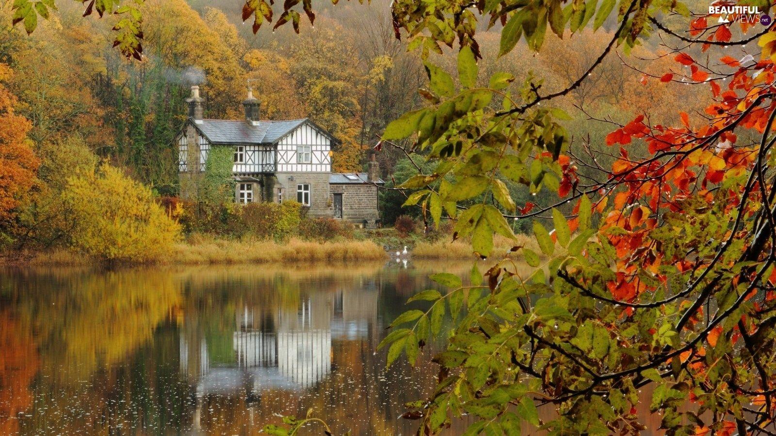1600x900 autumn, house, lake, woods views wallpaper: 1920x1200