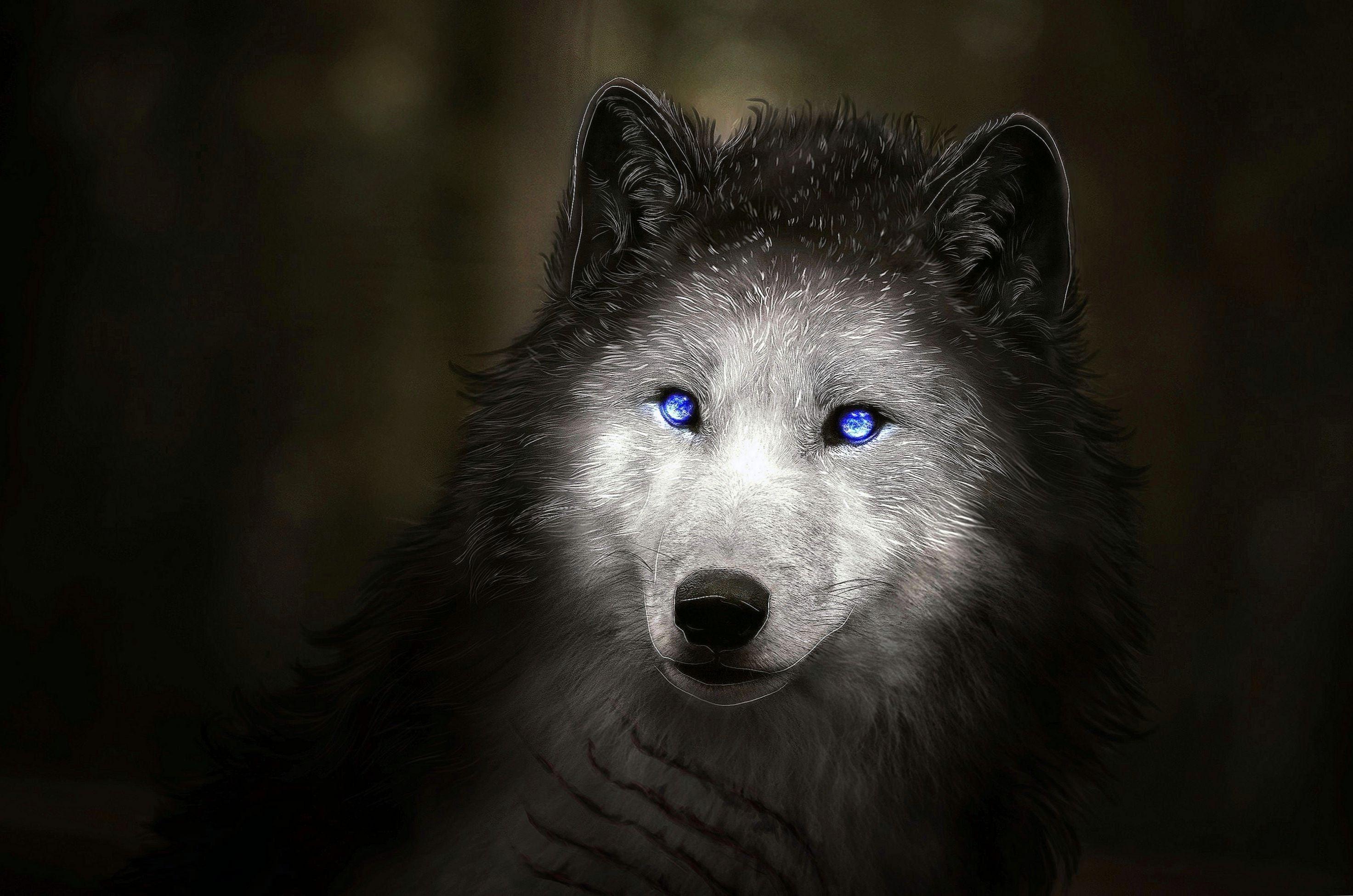 2945x1950 Blue Eyes Wallpaper