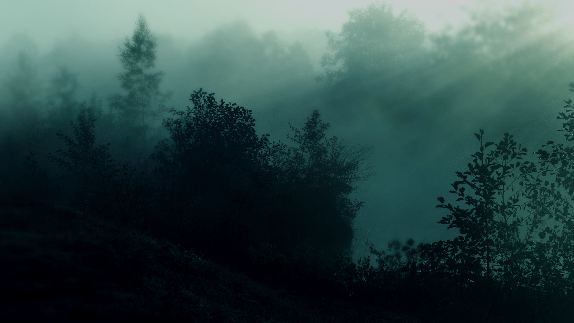 1920x1080 Mobile Dark Natural Wallpaper HD