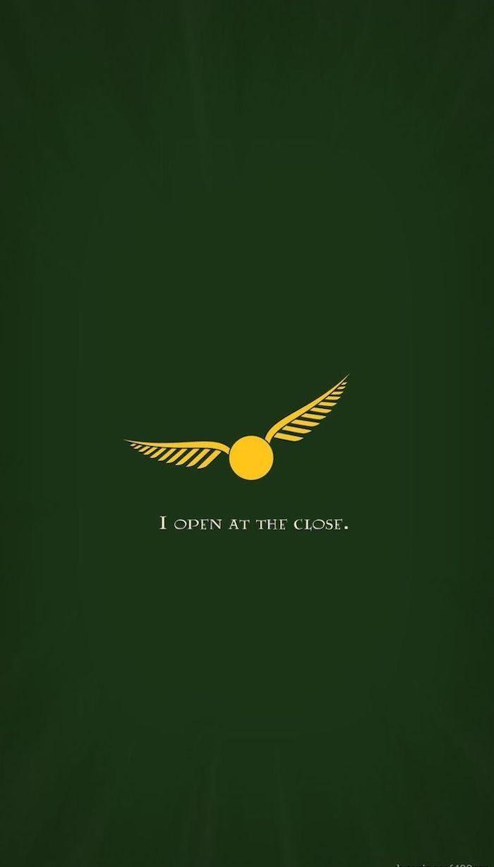 700x1228 for a magical Harry Potter wallpaper