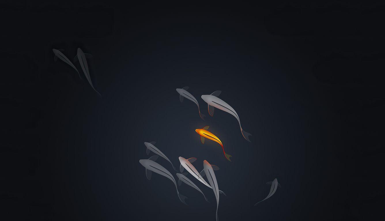 1336x768 Koi Fishes Minimal 4k Laptop HD HD 4k Wallpaper, Image, Background, Photo and Picture