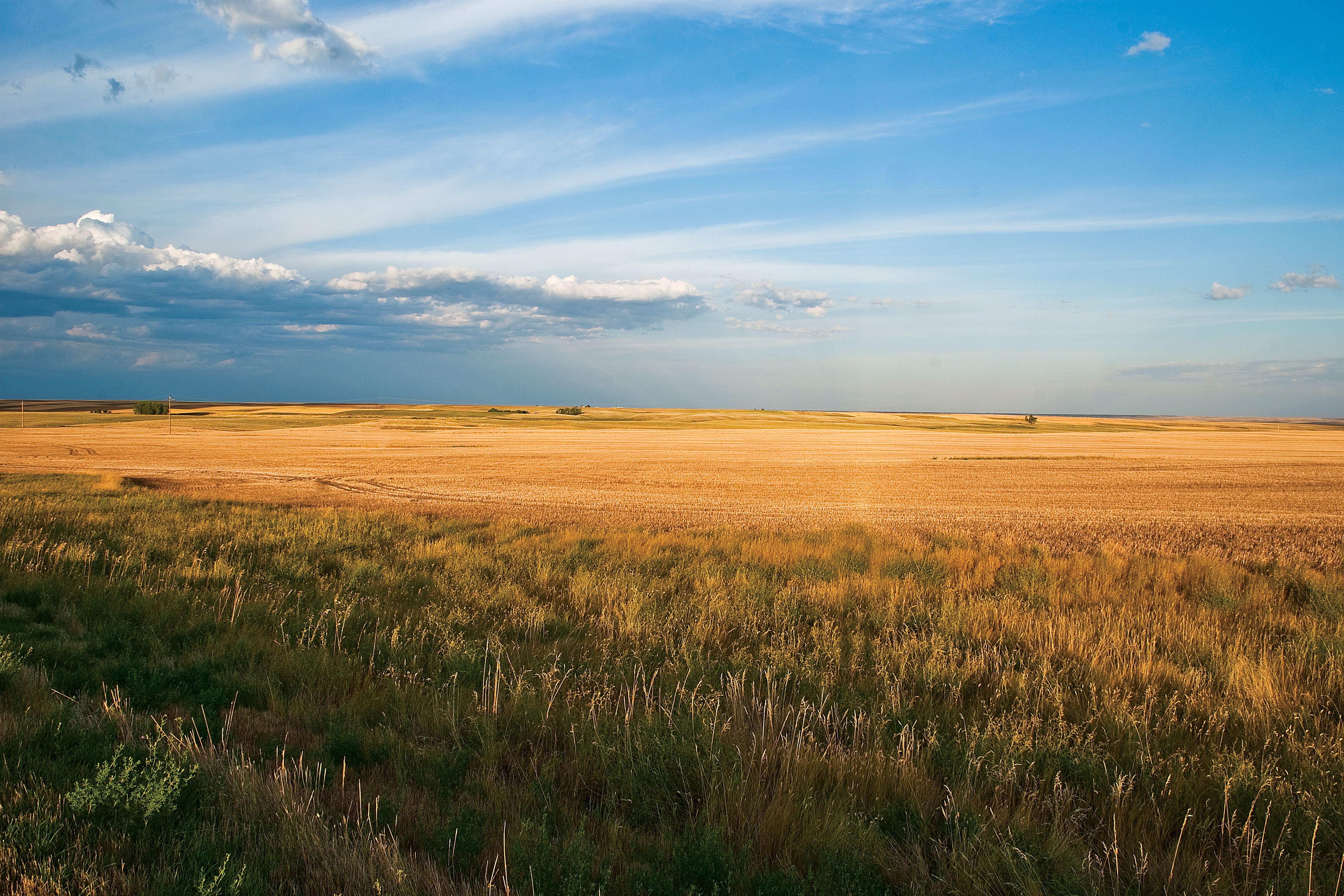 Prairie Landscape Wallpapers - Top Free Prairie Landscape Backgrounds -  WallpaperAccess