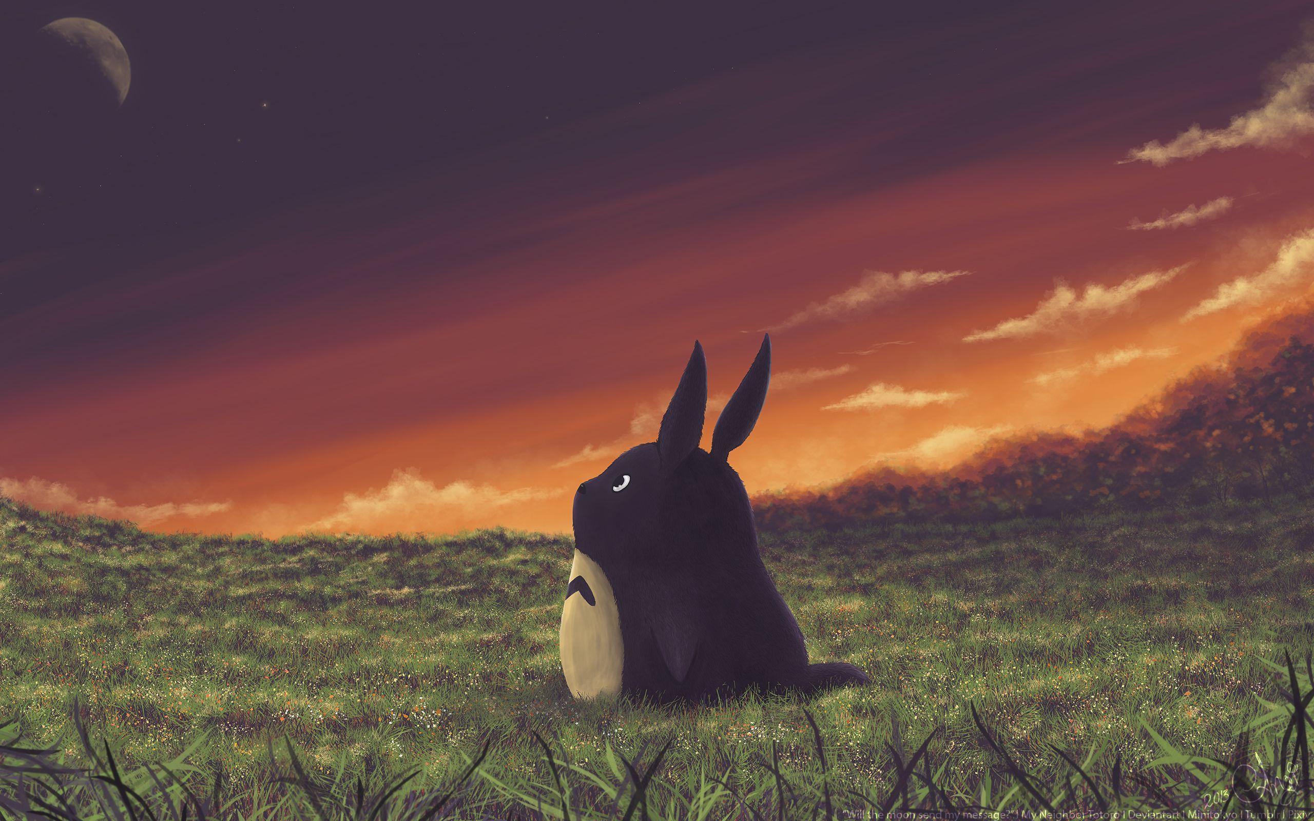 2560x1600 Totoro Wallpaper Free Totoro Background 2020. Wallpaper para pc, Pantalla de laptop, Arte de studio ghibli