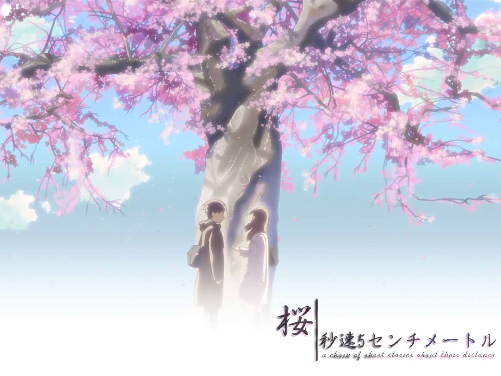 Centimeters Per Second Wallpapers Top Free Centimeters Per Second Backgrounds Wallpaperaccess