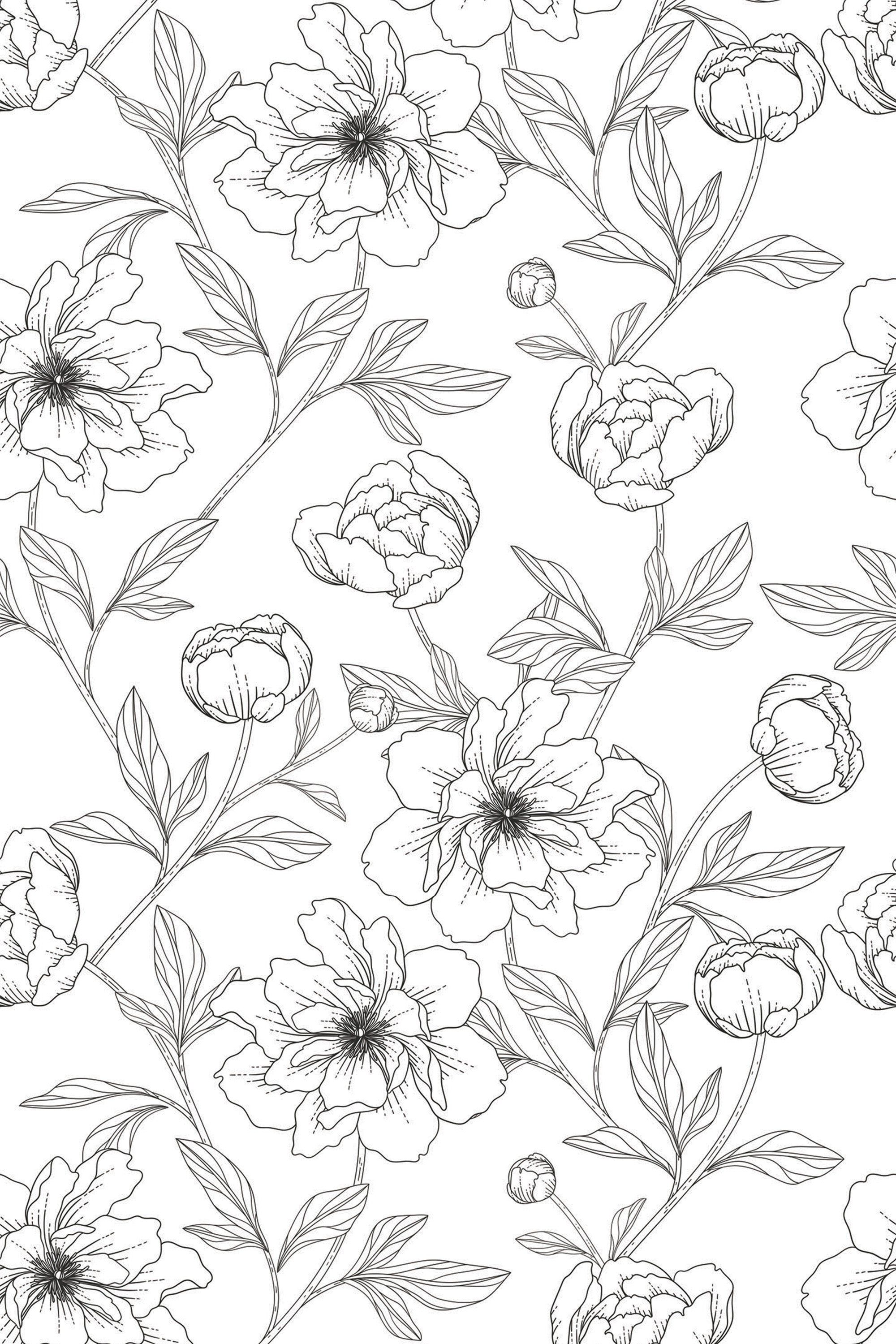 2000x3000 Flower line art Wallpaper