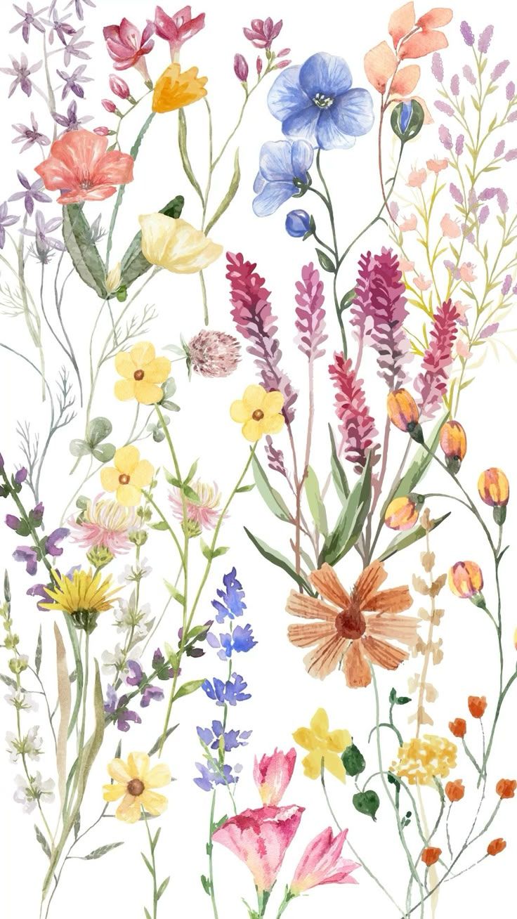 736x1308 Wildflower wallpaper