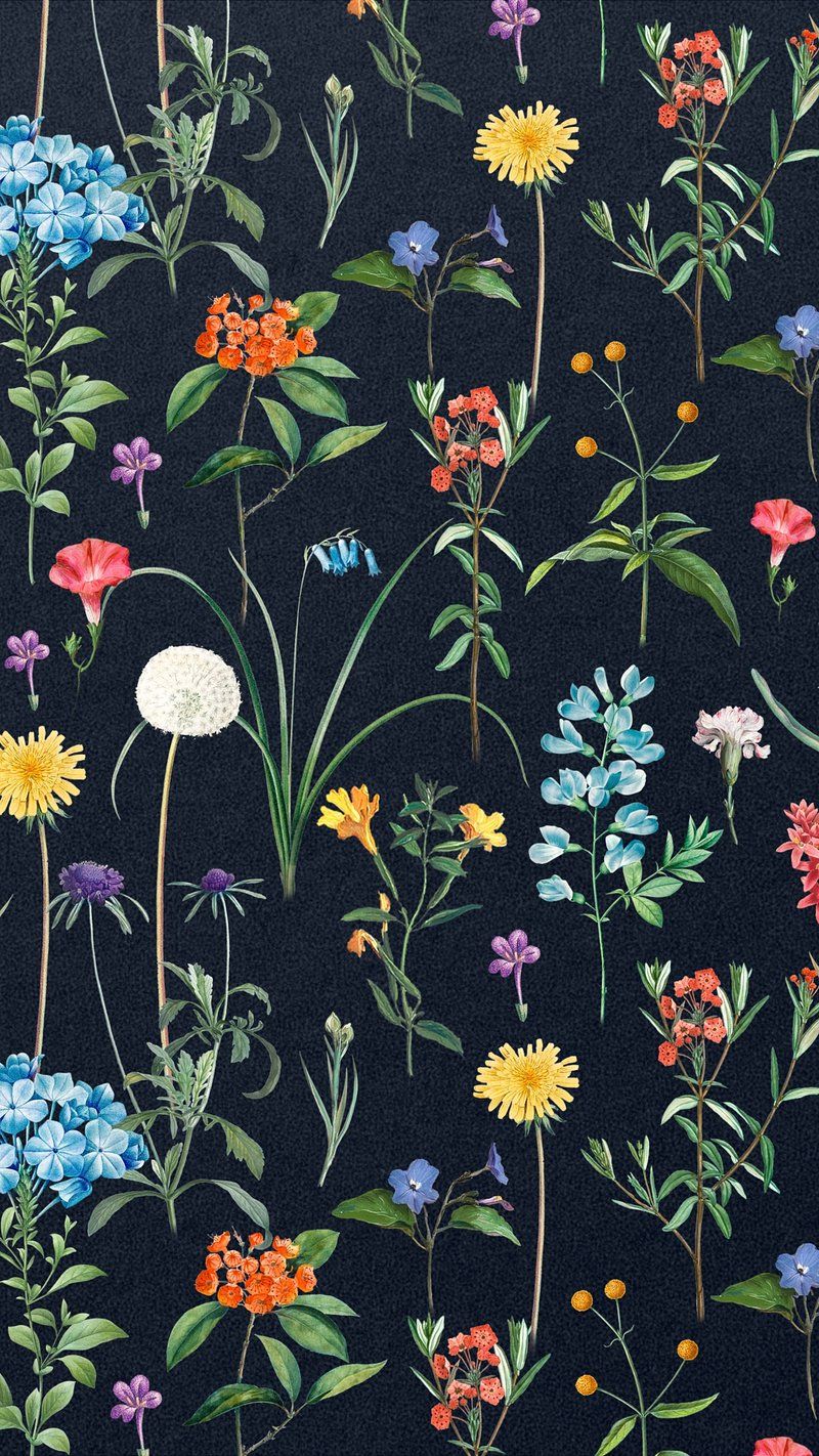 800x1422 Aesthetic floral pattern iPhone wallpaper. Premium Photo Illustration