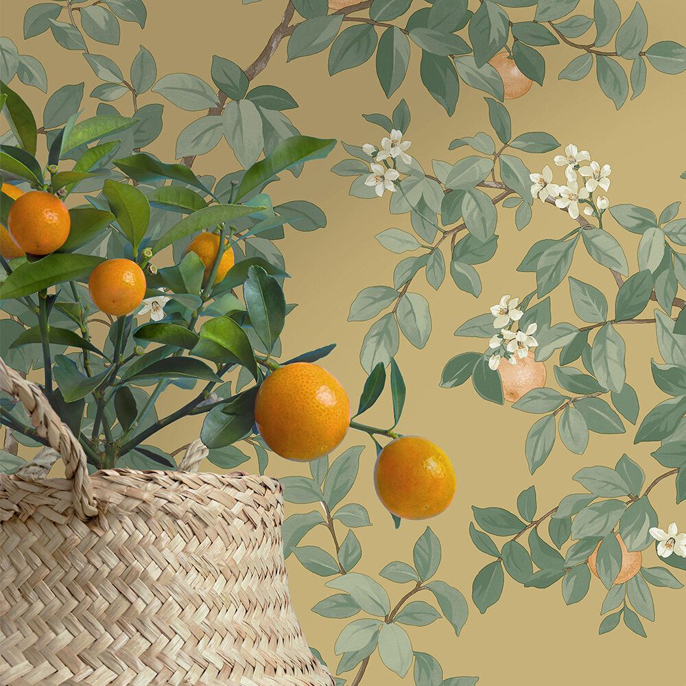 1000x1000 Orange Tree