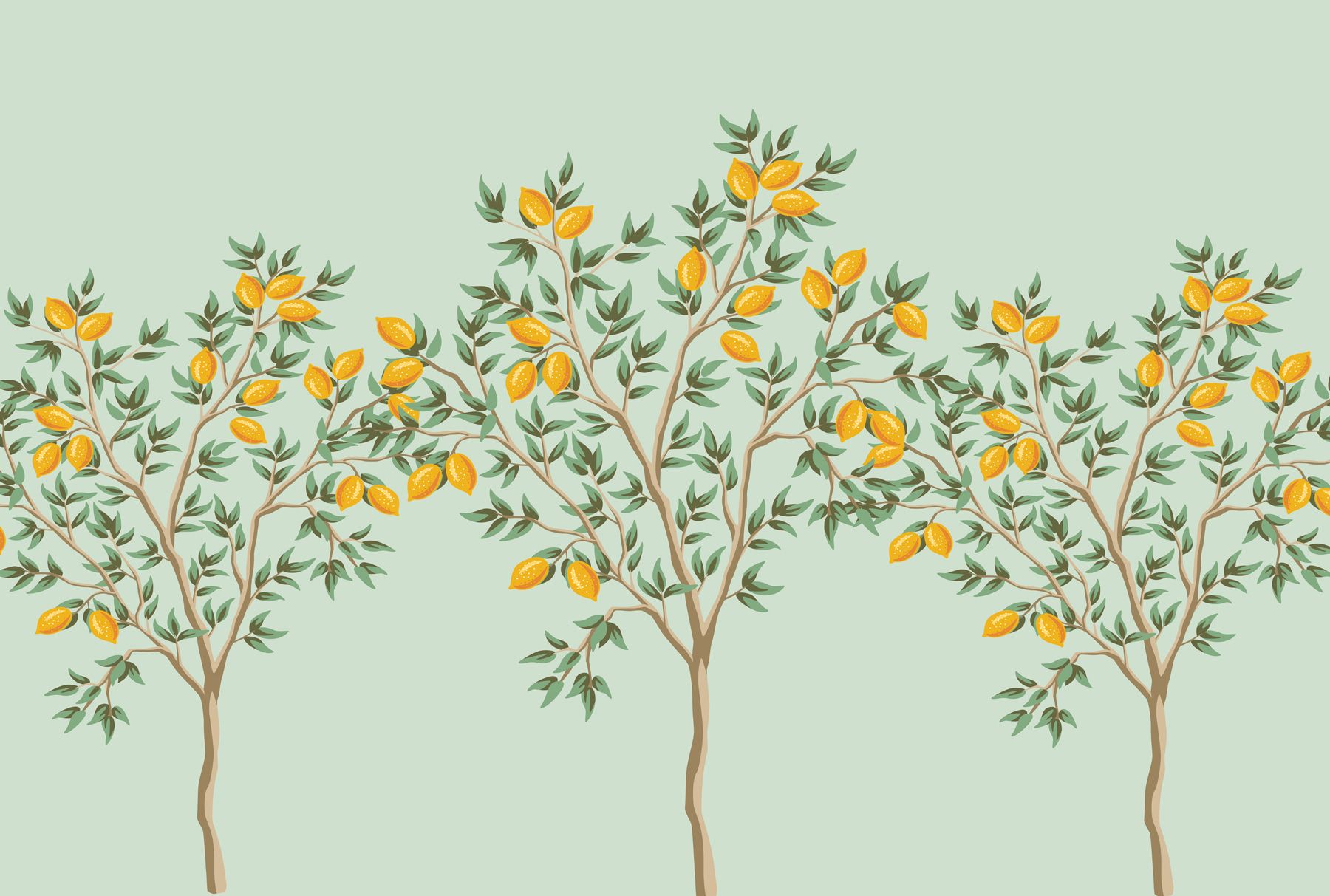 1800x1213 Wall Murals Food and Drink Lemon tree, green background Nr. w01661v2
