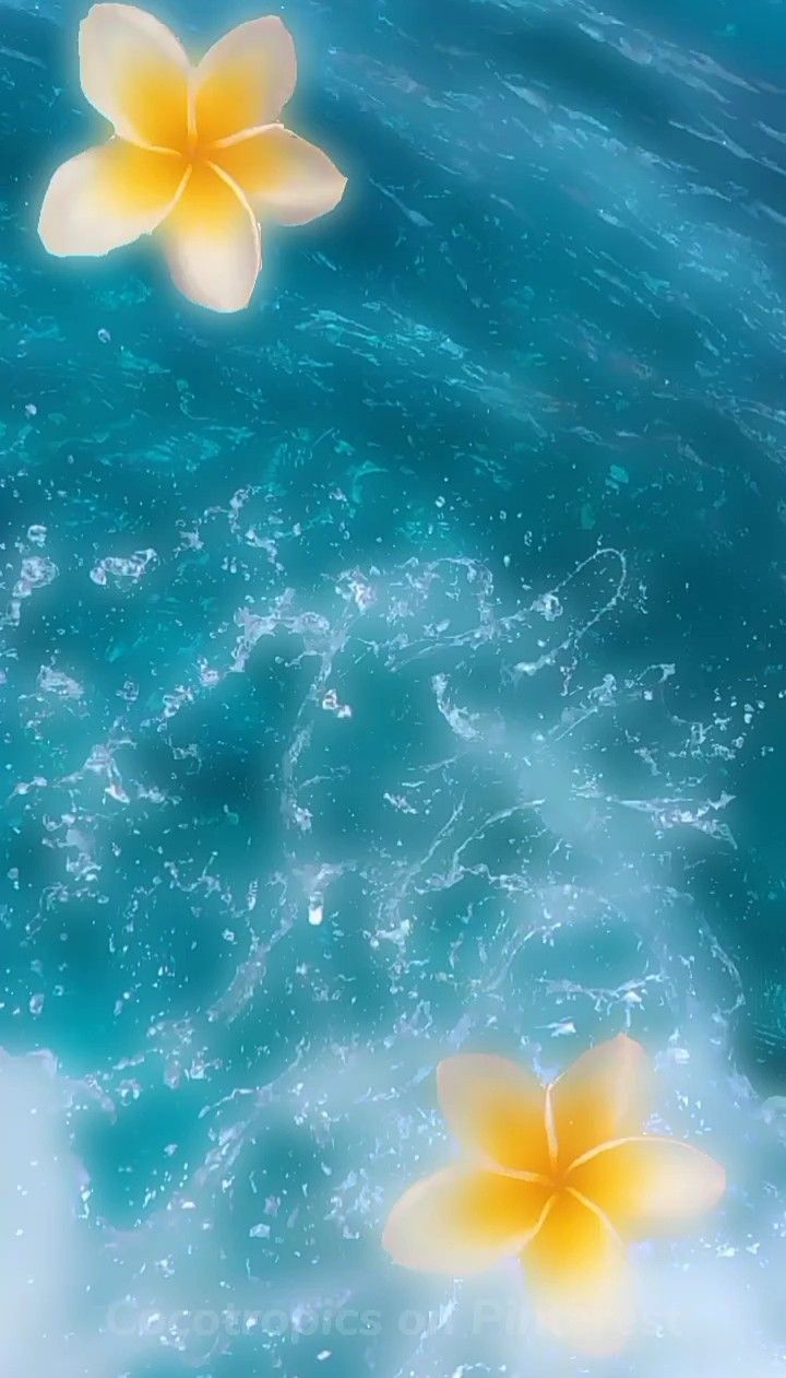 720x1261 Tropical Core Wallpaper