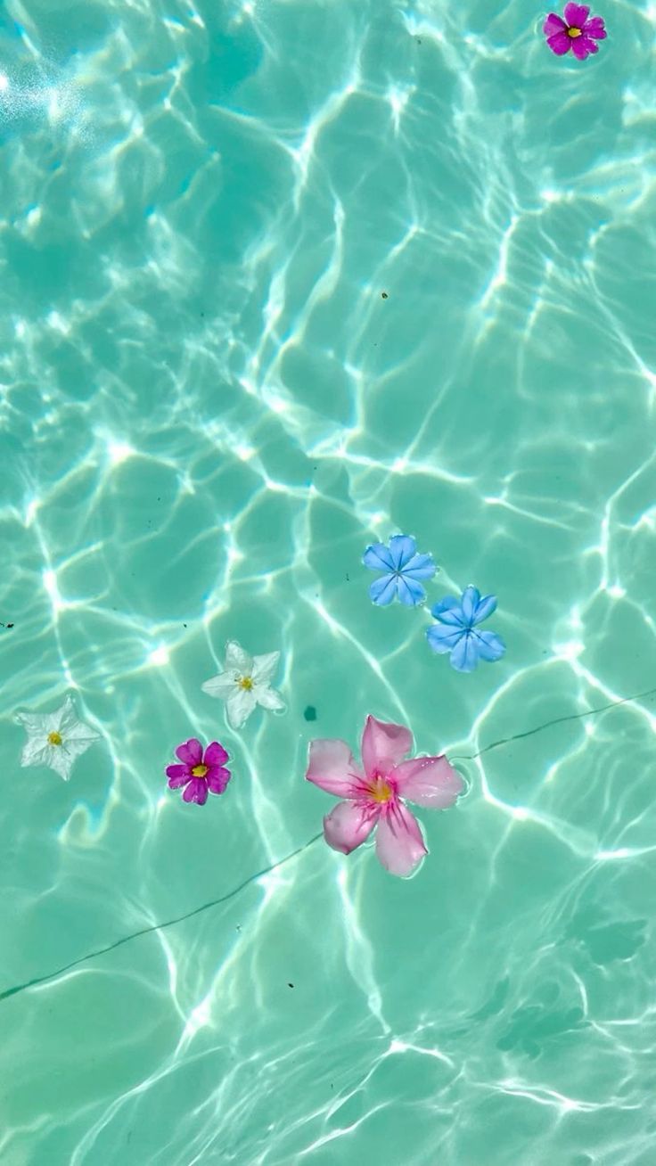736x1308 Cute summer wallpaper. Preppy wallpaper, Summer background, Tropical core