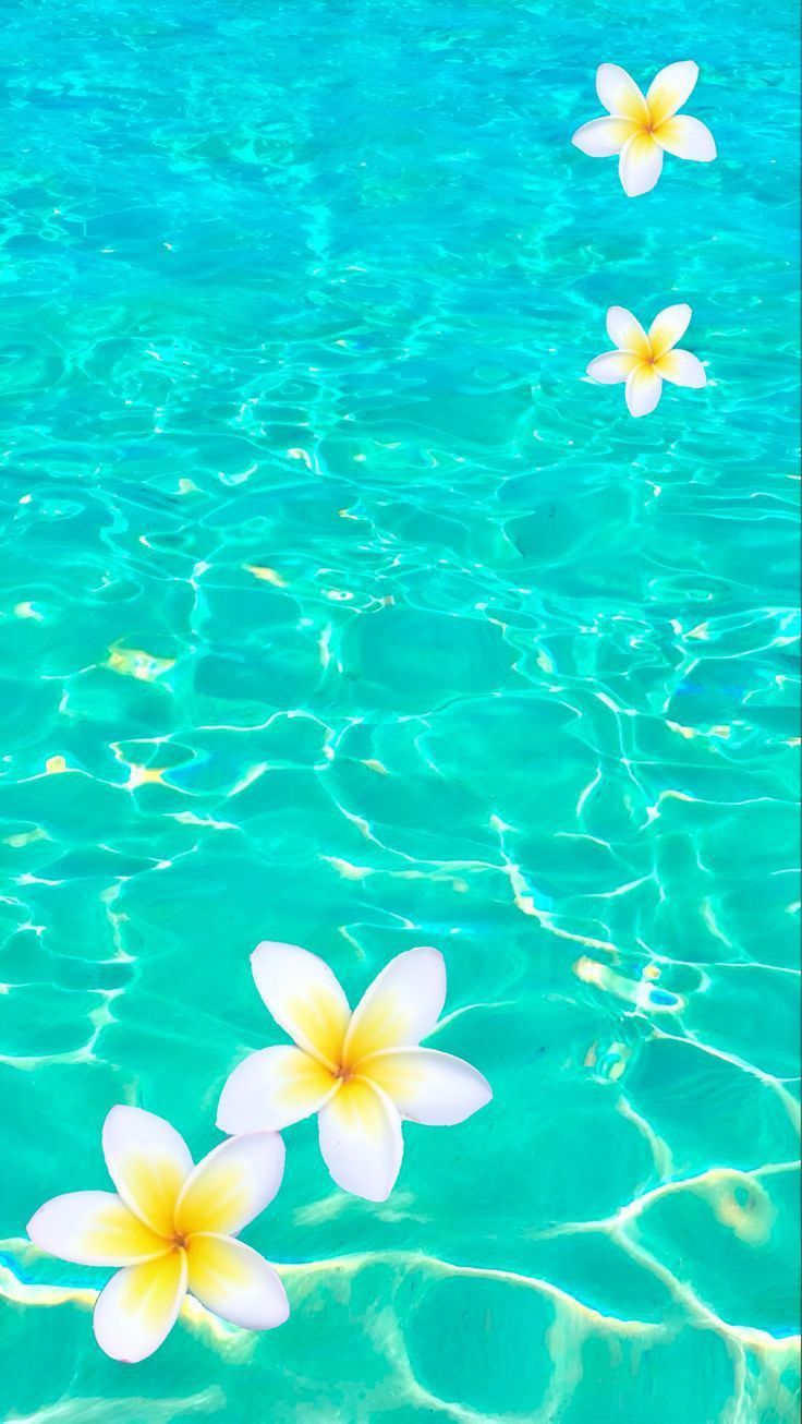736x1306 Tropical Core Wallpaper
