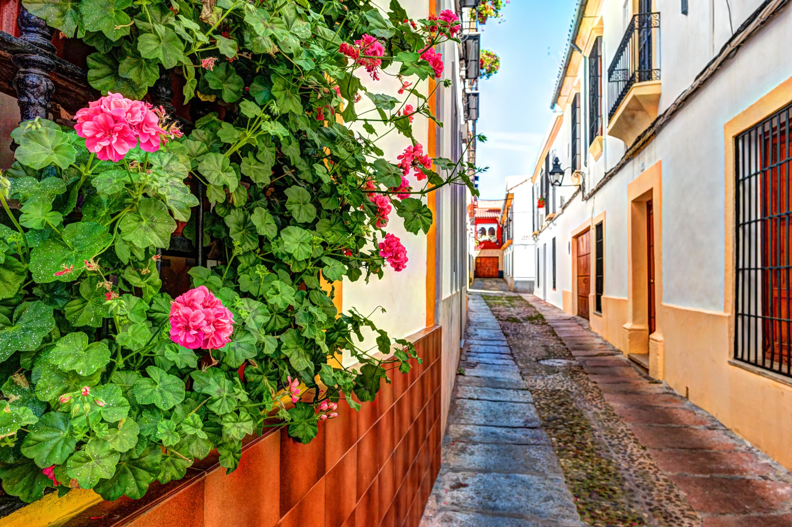 2560x1704 Amazon.com : CHNYWORK 8ftx6ft Europe Village Street Backdrop Old European Spanish Town White Walls Decorated with Colorful Flowers Background European Travel Party Decor Photo Booth Studio Prop Wallpaper