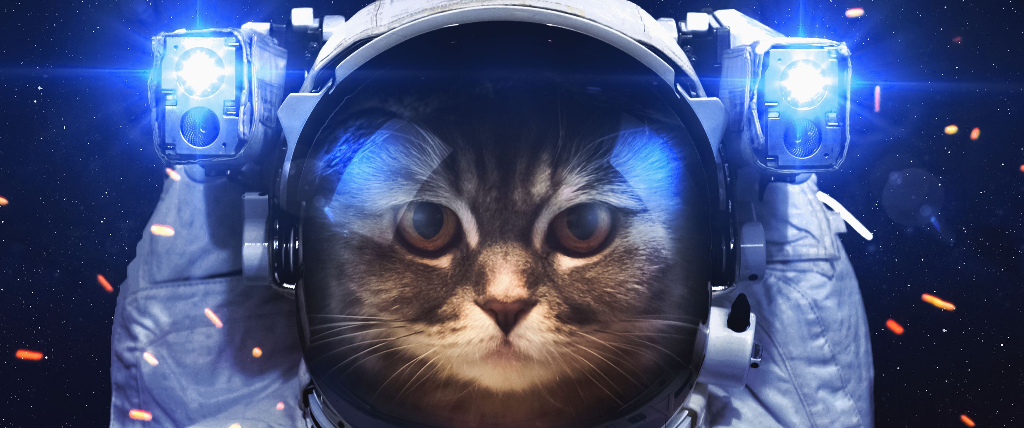 3440x1440 Download Astronaut cat, Cat, Astronaut, Suit Wallpaper in 3440x1440 Resolution